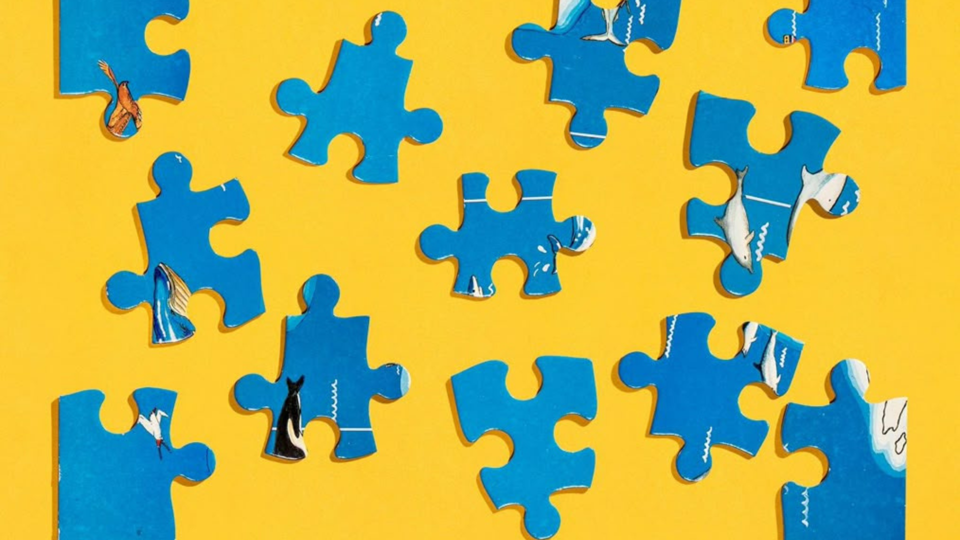 Manly Bowling Club | Northern Beaches | Bar Northern Beaches | Northern Beaches pubs | Restaurants Manly | Best restaurants Northern Beaches - Whats-on Weekly Activities - illustration fc73e1aa-d508-46da-b5d0-c9a014a3d6c9